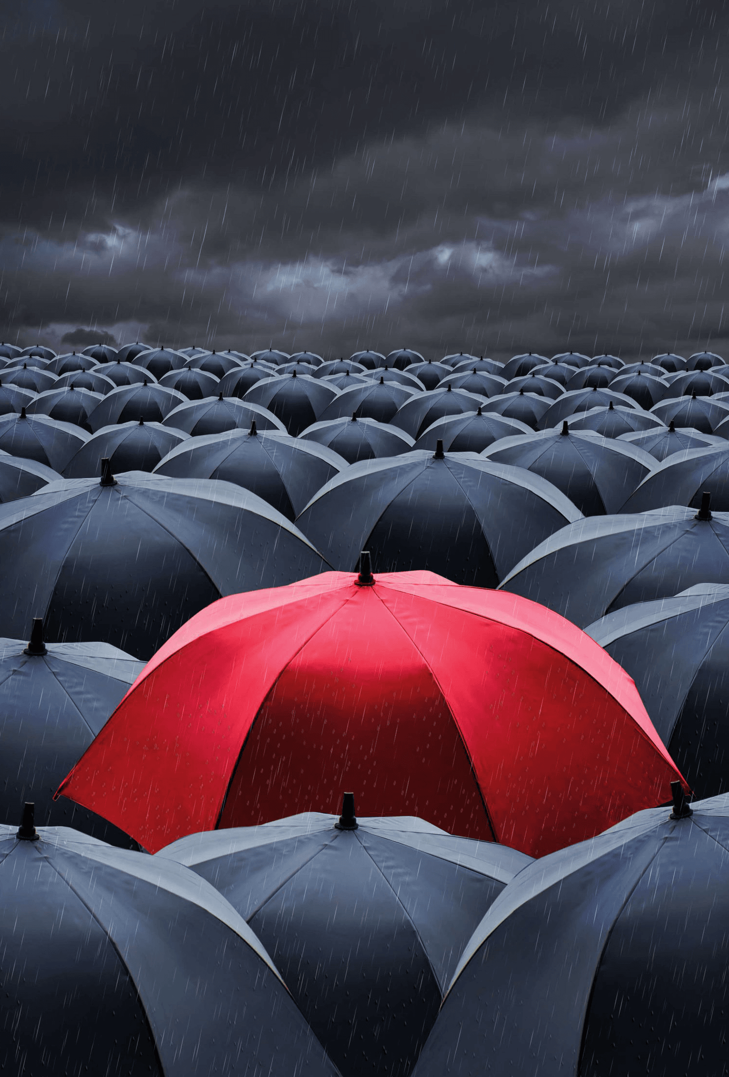 Stock Market Research Firm Chicago IL